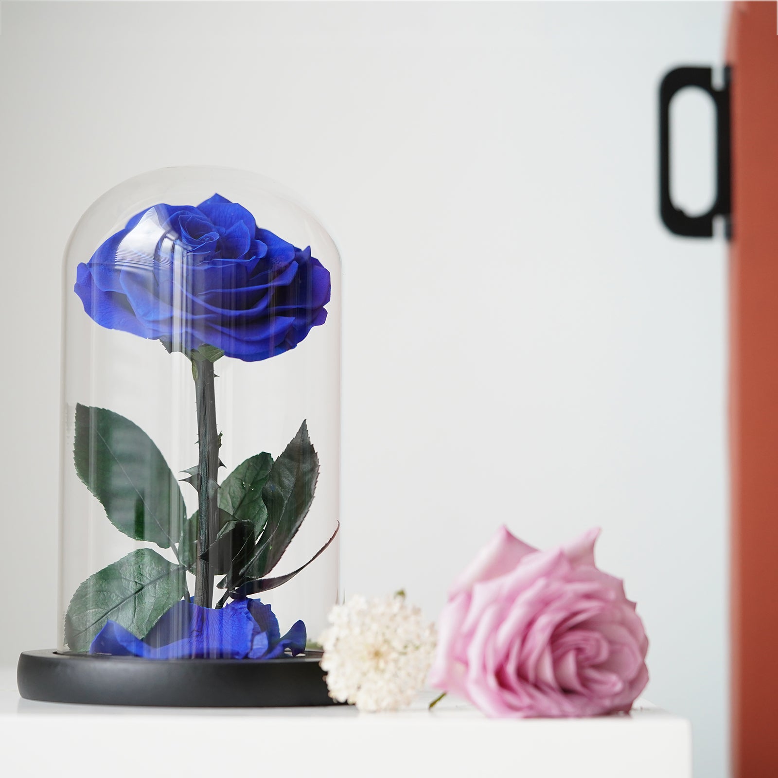 Dark Blue Preserved Rose – A Symbol of Mystery and Loyalty