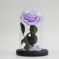 Load image into Gallery viewer, Mystical Purple Preserved Rose – A Symbol of Elegance and Romance
