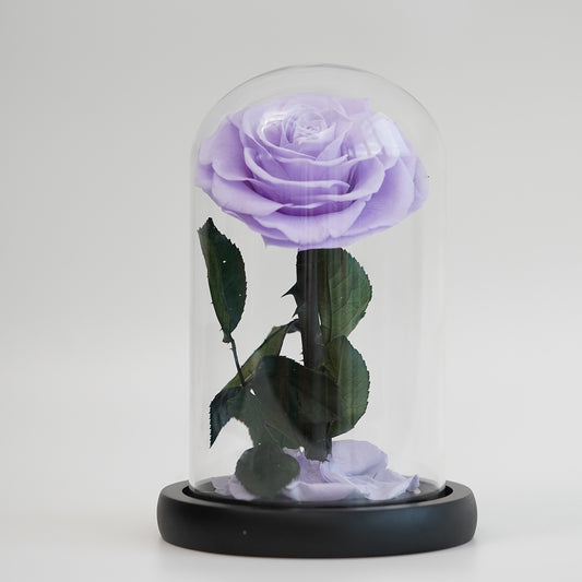 Mystical Purple Preserved Rose – A Symbol of Elegance and Romance