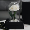 Load image into Gallery viewer, Pure White Preserved Rose – A Symbol of Purity and Eternity
