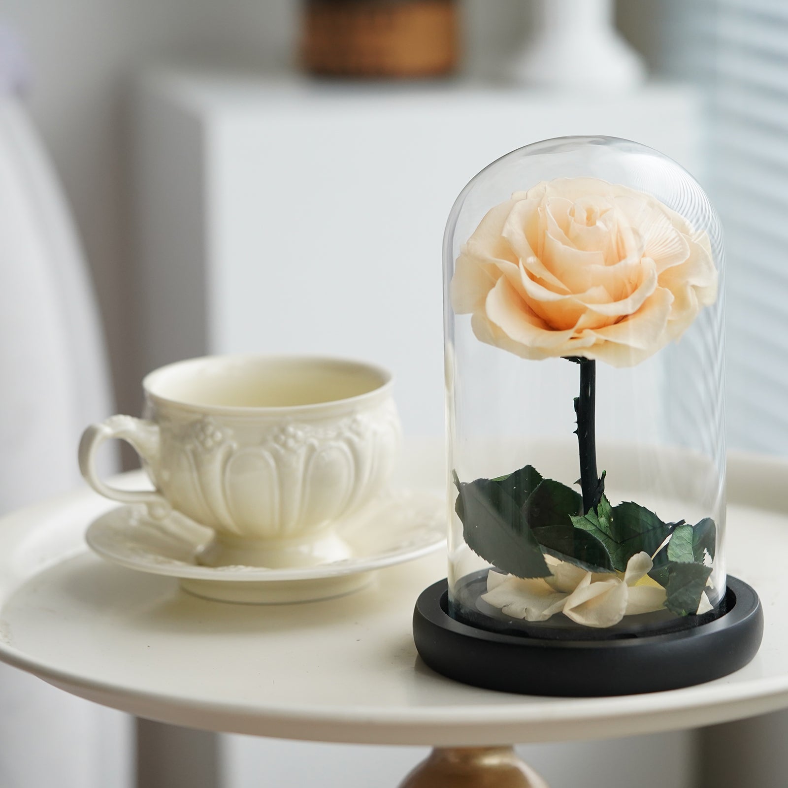 Elegant Champagne Rose – A Pure and Gentle Eternal Symbol