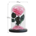 Load image into Gallery viewer, Pink Preserved Rose – A Symbol of Tenderness and Sweetness
