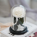 Load image into Gallery viewer, Pure White Preserved Rose – A Symbol of Purity and Eternity
