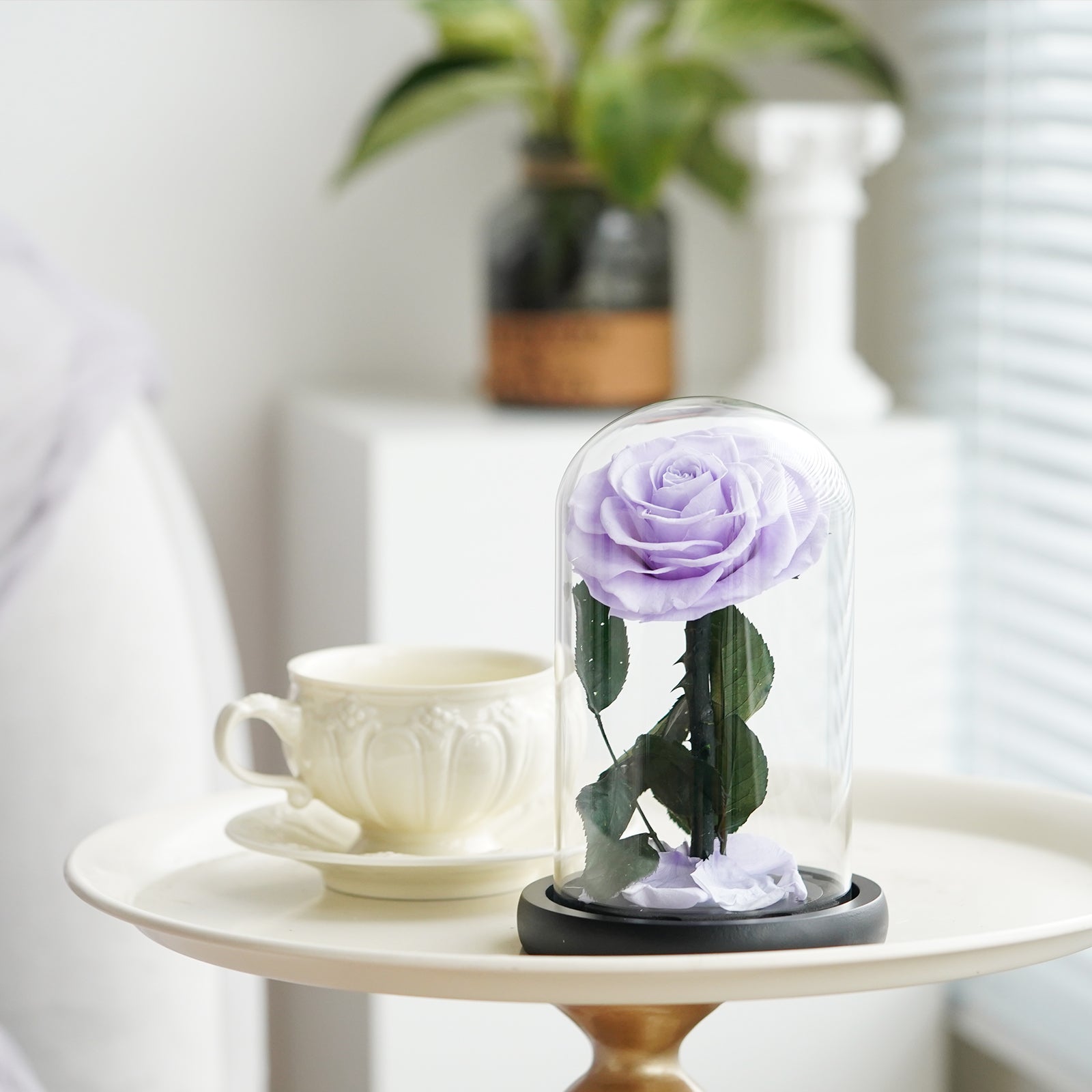 Mystical Purple Preserved Rose – A Symbol of Elegance and Romance