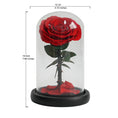 Load image into Gallery viewer, Eternal Red Rose – A Timeless Symbol of Love and Commitmen
