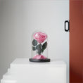 Load image into Gallery viewer, Pink Preserved Rose – A Symbol of Tenderness and Sweetness
