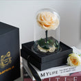 Load image into Gallery viewer, Elegant Champagne Rose – A Pure and Gentle Eternal Symbol
