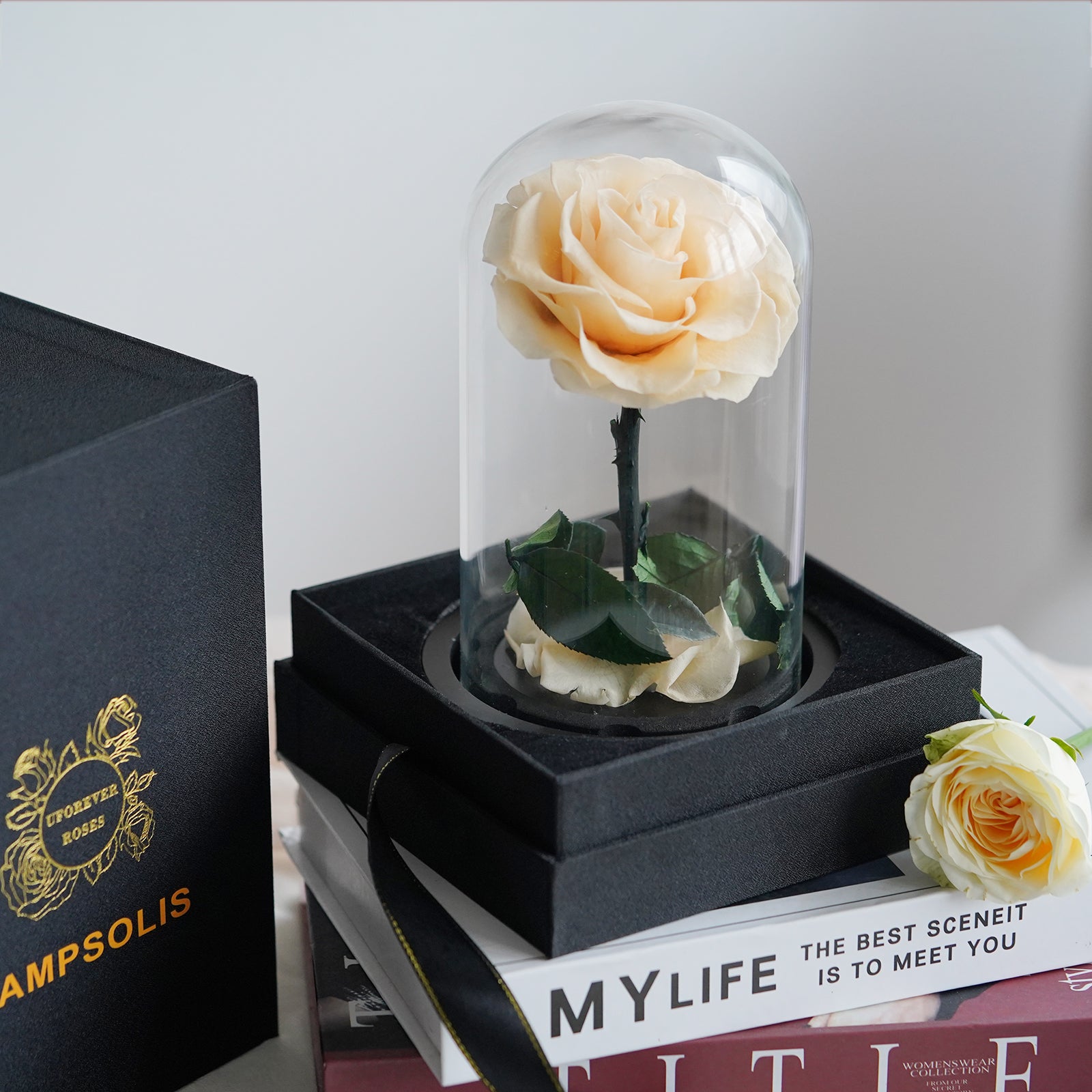 Elegant Champagne Rose – A Pure and Gentle Eternal Symbol