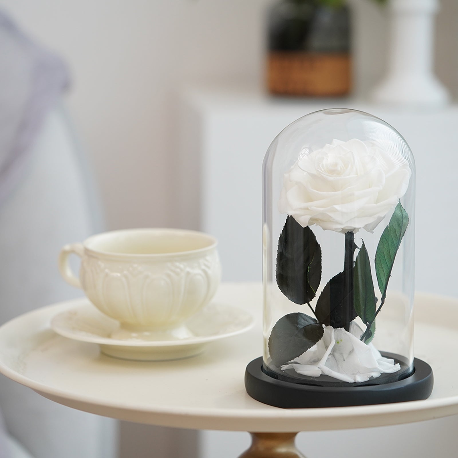 Pure White Preserved Rose – A Symbol of Purity and Eternity