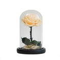 Load image into Gallery viewer, Elegant Champagne Rose – A Pure and Gentle Eternal Symbol
